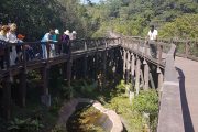 Passeio - Parque Ecológico Imigrantes - Foto 05